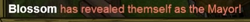 Mayor reveal