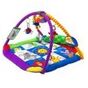 Baby Eistein Activity Gym