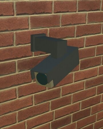 Security Camera Left Theme Park Tycoon 2 Wikia Fandom