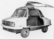 MeadowsFriskyGull wing