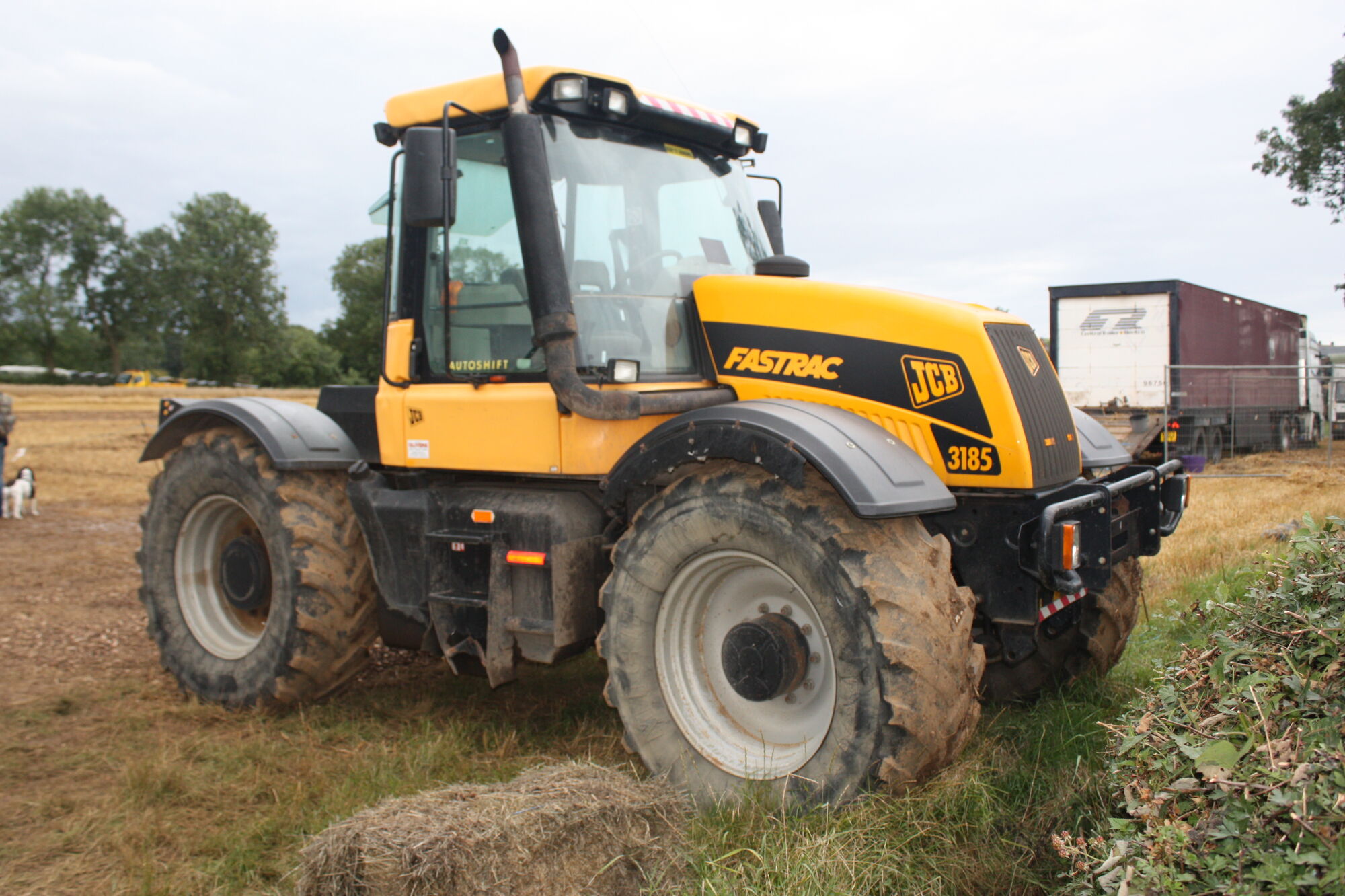 jcb tractor wale cartoon
