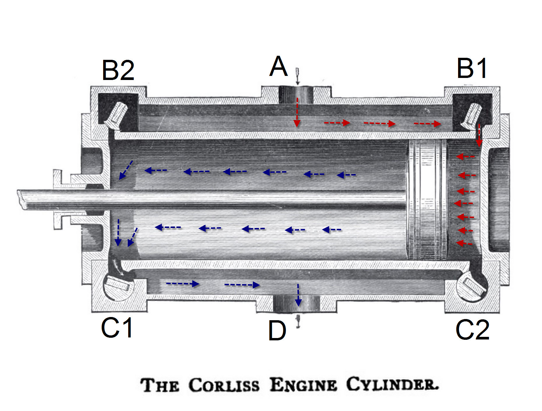 Detail of a Corliss-type valve gear and cylinder cross section showing the path of high-pressure steam (in red) and low-pressure steam (in blue).