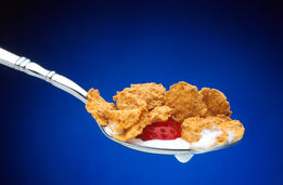 Spoonful of cereal