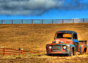 Old Ford pickup, Found in Field Dead