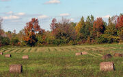 Hayfield in fall