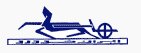 Paykanfootballlogo