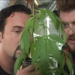 A Dope Trailer Is No Place For A Kitty Episode Trailer