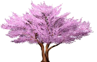 Image - Cercis Tree.png | TrainStation Wiki | FANDOM powered by Wikia