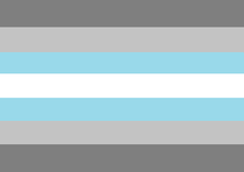 Demiboyflag