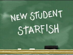 New Student Starfish