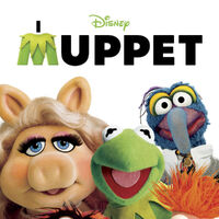The Muppets 2011 Transcripts Wiki Fandom