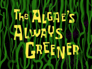 TheAlgae'sAlwaysGreenertitlecard