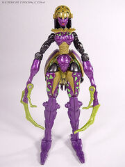 R blackarachnia023a