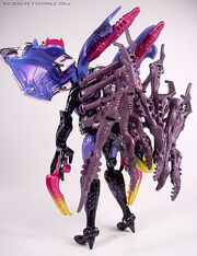 R blackarachnia046