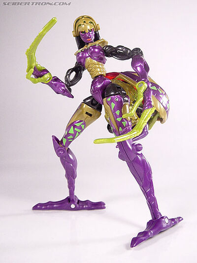 R blackarachnia037