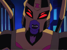 TFA BLACKARACHNIA