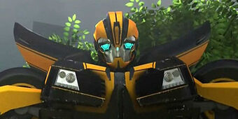 transformers prime bee