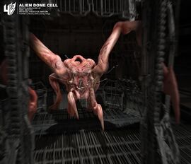 Alien1