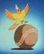 Parrot armadillo headon