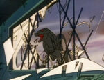 SOSDinobots Ravage window