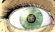 Rotf1 - fragmento