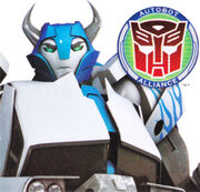 Prime-TailgateCardArt