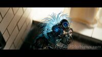 Dotm-brains-film-1