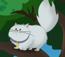 Mister Pettypaws in the tree.