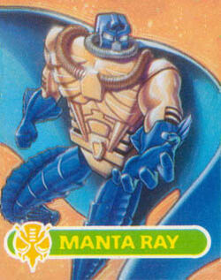 Manta ray