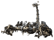 Scorponok1acc7