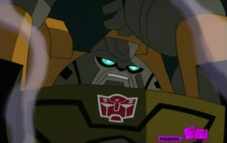 Brawn transwarped