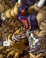 IDW Torca