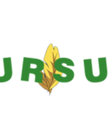 Pursuit Transformice Wiki Fandom