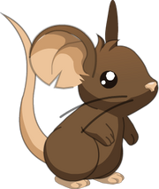Mouse