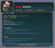 New profile