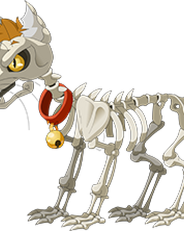 Skeleton Cat Transformice Wiki Fandom