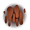 https://vignette.wikia.nocookie.net/transformice/images/d/dc/Nightmares_Hunt_48.png/revision/latest/scale-to-width-down/30?cb=20221019002353