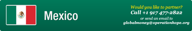 Mexico banner