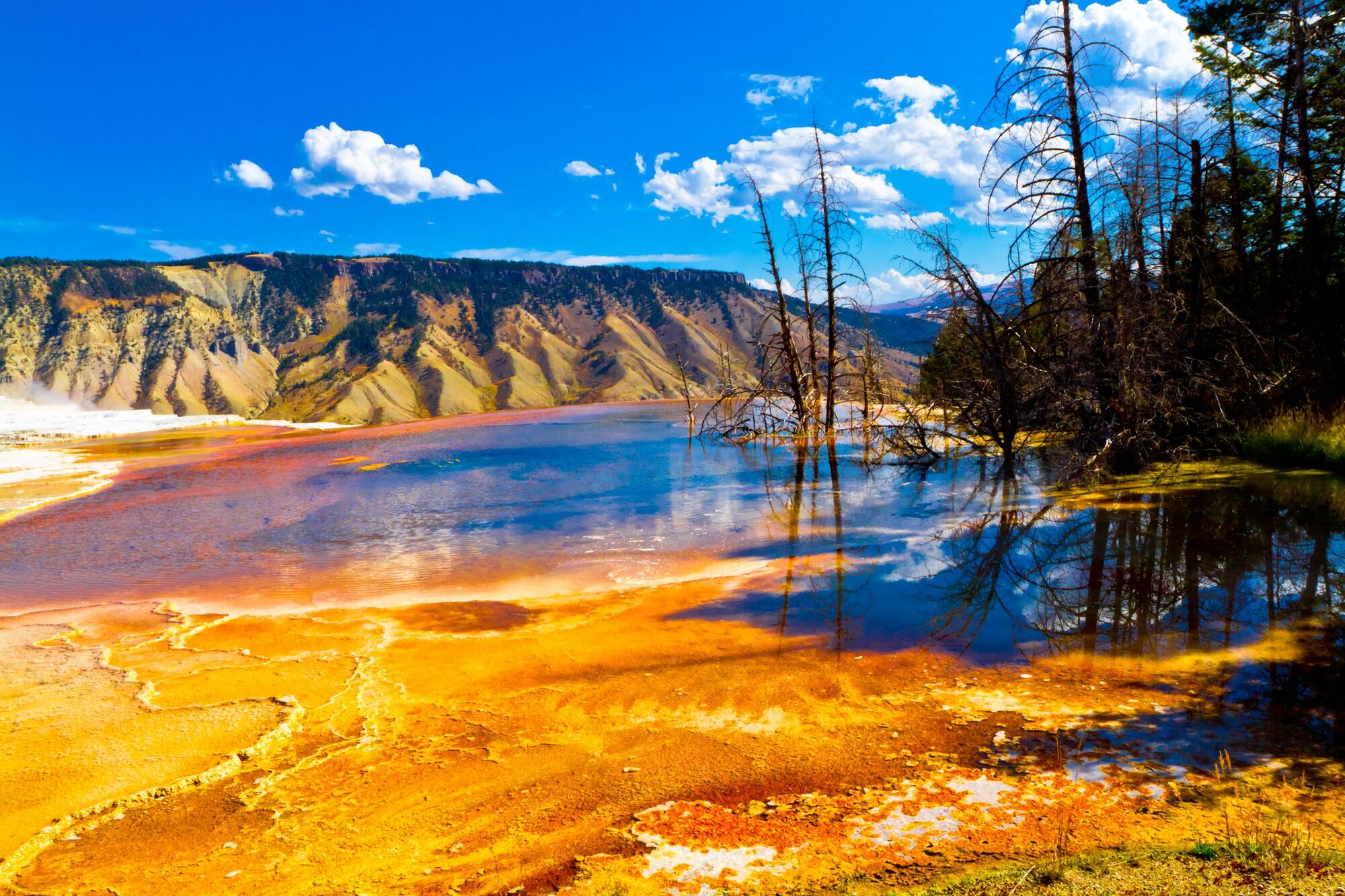 Yellowstone National Park Travel Wiki FANDOM powered by Wikia