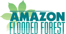 AFF logoleaf