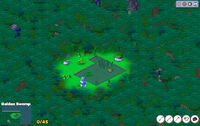 Golden Swamp