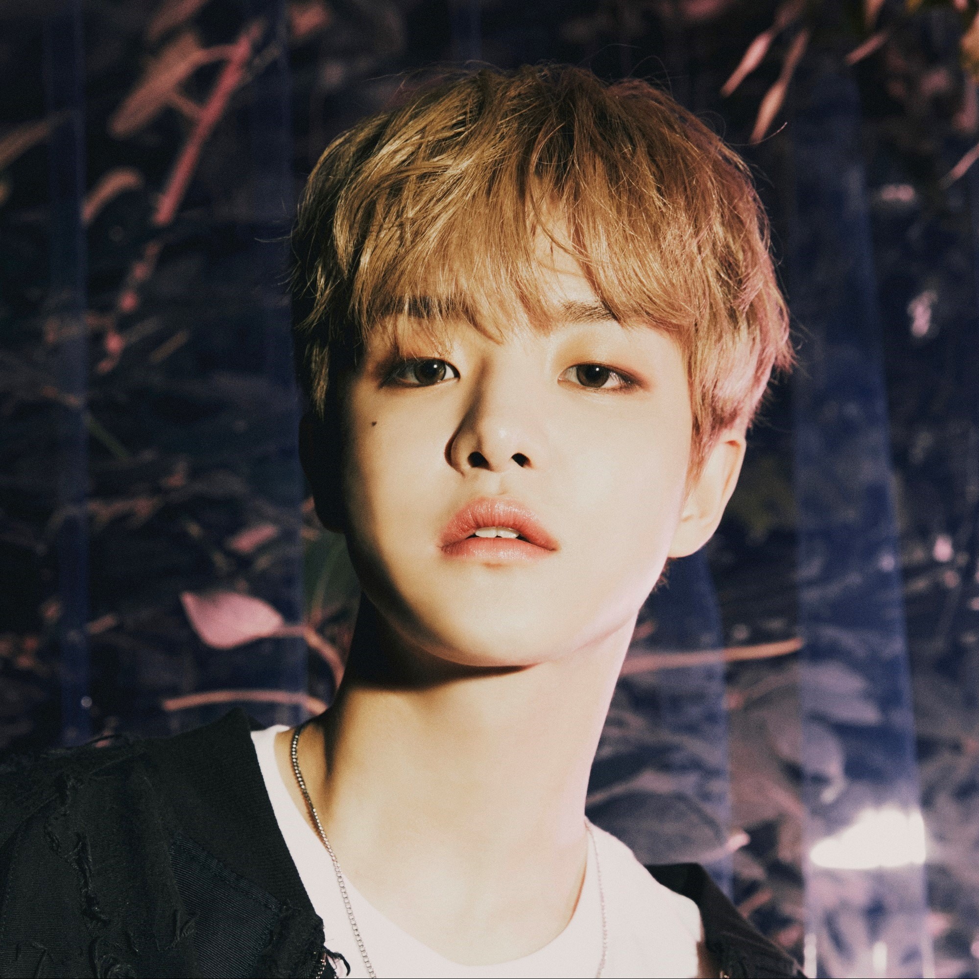 Jihoon Jihoon