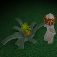 roblox treelands best fruit Treelands Wikia Fandom