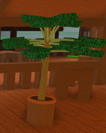 Potted Papaya Tree Treelands Wikia Fandom - codes for treelands beta 2018 roblox