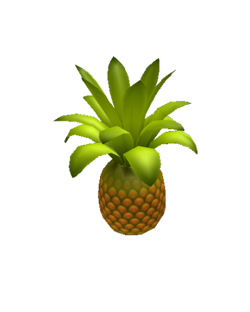 Pineapple Treelands Wikia Fandom - map of treelands roblox