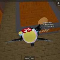 Money Glitch In Treelands Roblox