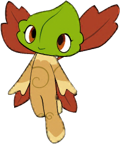 Poppy