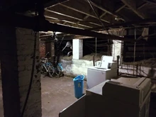 The Goblin Shark | Trevor Henderson Inspiration Wiki | Fandom The Goblin Shark | Trevor Henderson Inspiration Wiki | Fandom