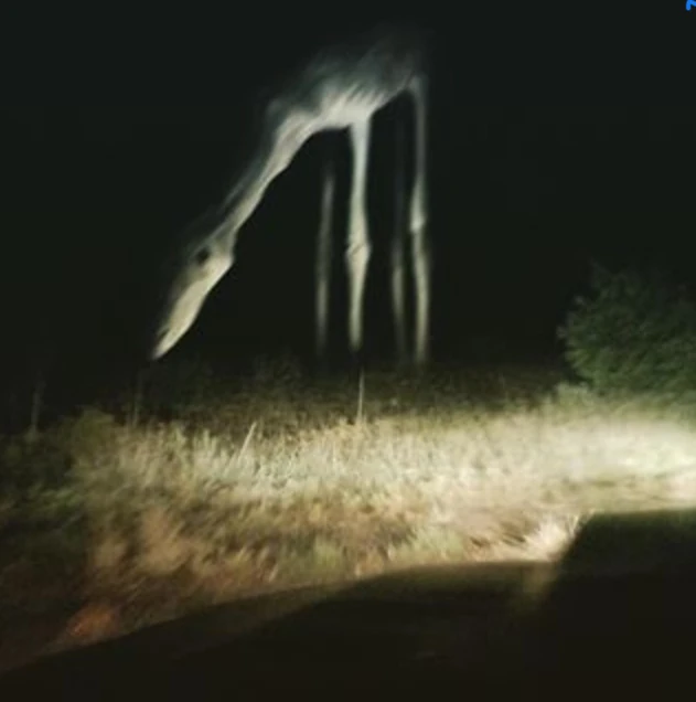 A horse at night | Trevor Henderson Inspiration Wiki | Fandom