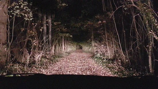 The Camouflaging Man | Trevor Henderson Inspiration Wiki | Fandom